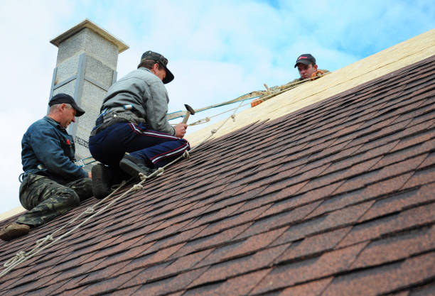 Best Roof Maintenance Services  in Stockton, KS
